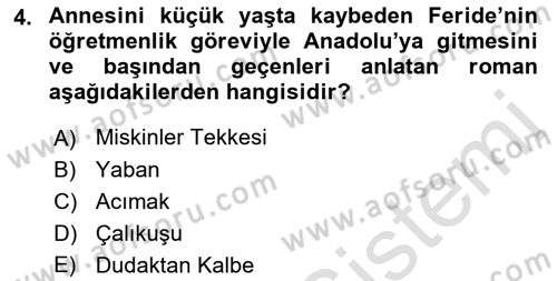Yeni Türk Edebiyatına Giriş 1 Dersi 2019 - 2020 Yılı (Final) Dönem Sonu Sınav Soruları 4. Soru