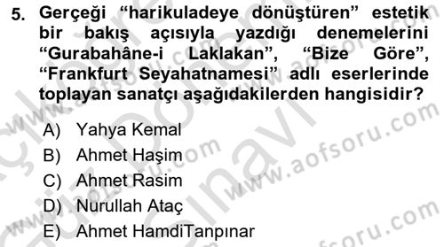 Yeni Türk Edebiyatına Giriş 1 Dersi 2019 - 2020 Yılı (Final) Dönem Sonu Sınav Soruları 5. Soru