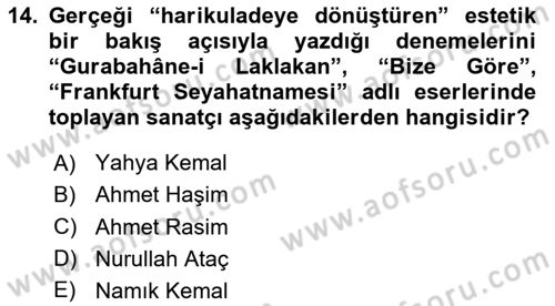 Yeni Türk Edebiyatına Giriş 1 Dersi 2020 - 2021 Yılı Yaz Okulu Sınav Soruları 14. Soru