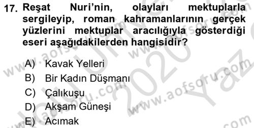 Yeni Türk Edebiyatına Giriş 1 Dersi 2020 - 2021 Yılı Yaz Okulu Sınav Soruları 17. Soru