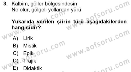 Yeni Türk Edebiyatına Giriş 1 Dersi 2020 - 2021 Yılı Yaz Okulu Sınav Soruları 3. Soru