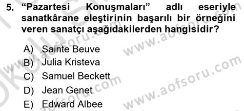 Yeni Türk Edebiyatına Giriş 1 Dersi 2020 - 2021 Yılı Yaz Okulu Sınav Soruları 5. Soru