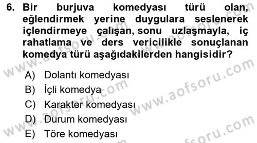 Yeni Türk Edebiyatına Giriş 1 Dersi 2020 - 2021 Yılı Yaz Okulu Sınav Soruları 6. Soru