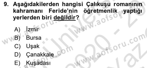 Yeni Türk Edebiyatına Giriş 1 Dersi 2020 - 2021 Yılı Yaz Okulu Sınav Soruları 9. Soru