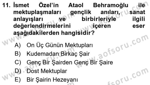 Yeni Türk Edebiyatına Giriş 1 Dersi 2021 - 2022 Yılı (Final) Dönem Sonu Sınav Soruları 11. Soru