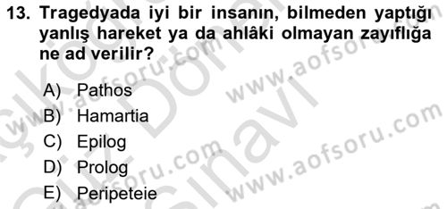 Yeni Türk Edebiyatına Giriş 1 Dersi 2021 - 2022 Yılı (Final) Dönem Sonu Sınav Soruları 13. Soru