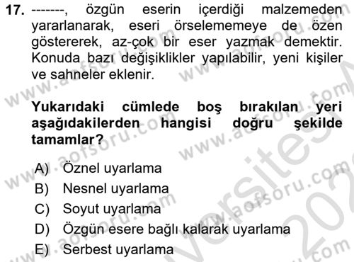 Yeni Türk Edebiyatına Giriş 1 Dersi 2021 - 2022 Yılı (Final) Dönem Sonu Sınav Soruları 17. Soru