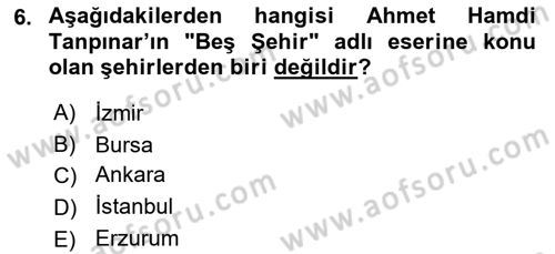 Yeni Türk Edebiyatına Giriş 1 Dersi 2021 - 2022 Yılı (Final) Dönem Sonu Sınav Soruları 6. Soru
