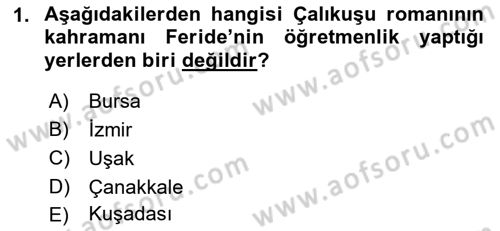 Yeni Türk Edebiyatına Giriş 1 Dersi 2021 - 2022 Yılı Yaz Okulu Sınav Soruları 1. Soru