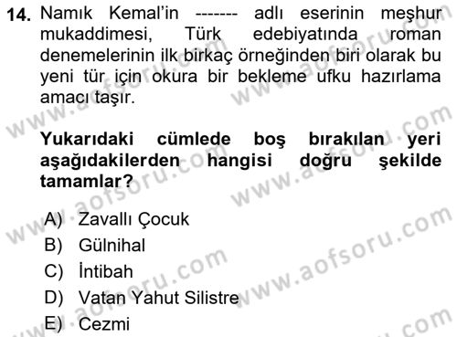 Yeni Türk Edebiyatına Giriş 1 Dersi 2021 - 2022 Yılı Yaz Okulu Sınav Soruları 14. Soru
