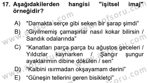 Yeni Türk Edebiyatına Giriş 1 Dersi 2021 - 2022 Yılı Yaz Okulu Sınav Soruları 17. Soru