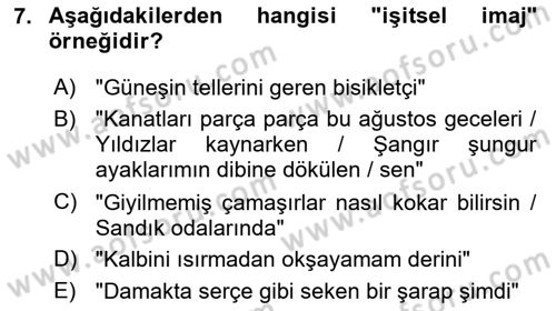 Yeni Türk Edebiyatına Giriş 1 Dersi 2022 - 2023 Yılı (Final) Dönem Sonu Sınav Soruları 7. Soru