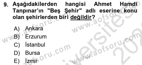 Yeni Türk Edebiyatına Giriş 1 Dersi 2022 - 2023 Yılı (Final) Dönem Sonu Sınav Soruları 9. Soru