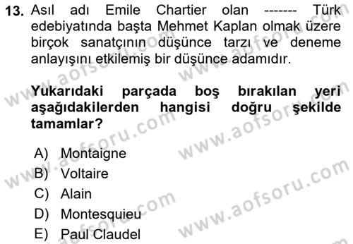 Yeni Türk Edebiyatına Giriş 1 Dersi 2022 - 2023 Yılı Yaz Okulu Sınav Soruları 13. Soru