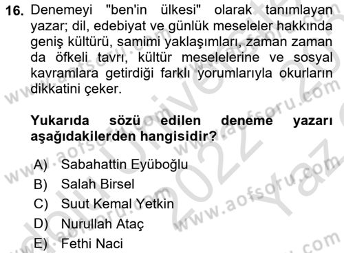 Yeni Türk Edebiyatına Giriş 1 Dersi 2022 - 2023 Yılı Yaz Okulu Sınav Soruları 16. Soru