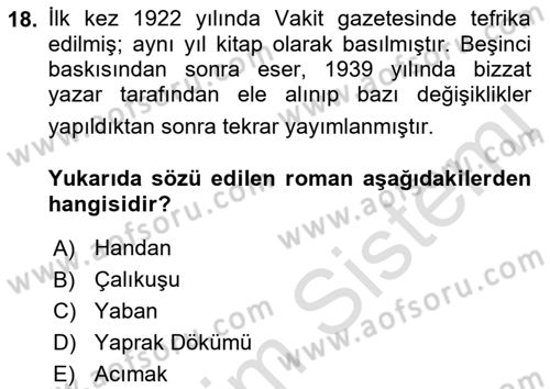Yeni Türk Edebiyatına Giriş 1 Dersi 2022 - 2023 Yılı Yaz Okulu Sınav Soruları 18. Soru