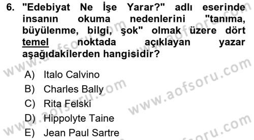 Yeni Türk Edebiyatına Giriş 1 Dersi 2022 - 2023 Yılı Yaz Okulu Sınav Soruları 6. Soru
