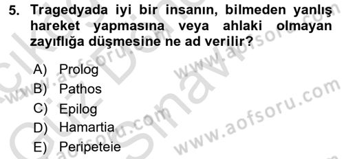 Yeni Türk Edebiyatına Giriş 1 Dersi 2023 - 2024 Yılı (Final) Dönem Sonu Sınav Soruları 5. Soru