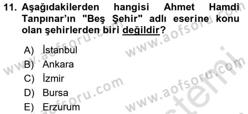 Yeni Türk Edebiyatına Giriş 1 Dersi 2023 - 2024 Yılı Yaz Okulu Sınav Soruları 11. Soru