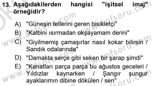 Yeni Türk Edebiyatına Giriş 1 Dersi 2023 - 2024 Yılı Yaz Okulu Sınav Soruları 13. Soru