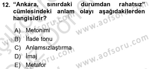 Yeni Türk Edebiyatına Giriş 1 Dersi 2024 - 2025 Yılı (Vize) Ara Sınav Soruları 12. Soru