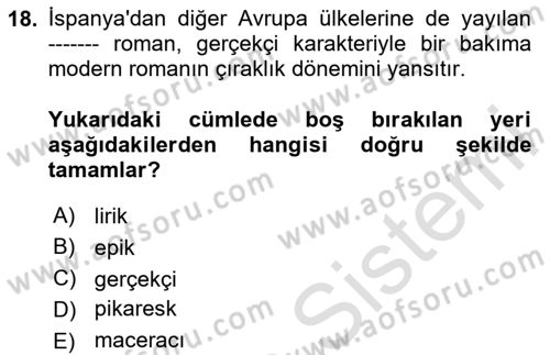 Yeni Türk Edebiyatına Giriş 1 Dersi 2024 - 2025 Yılı (Vize) Ara Sınav Soruları 18. Soru