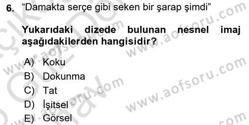 Yeni Türk Edebiyatına Giriş 1 Dersi 2024 - 2025 Yılı (Vize) Ara Sınav Soruları 6. Soru
