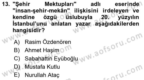 Yeni Türk Edebiyatına Giriş 1 Dersi 2024 - 2025 Yılı (Final) Dönem Sonu Sınav Soruları 13. Soru