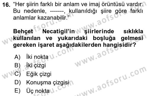 Yeni Türk Edebiyatına Giriş 1 Dersi 2024 - 2025 Yılı (Final) Dönem Sonu Sınav Soruları 16. Soru