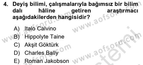 Yeni Türk Edebiyatına Giriş 1 Dersi 2024 - 2025 Yılı (Final) Dönem Sonu Sınav Soruları 4. Soru