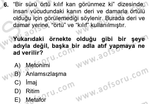 Yeni Türk Edebiyatına Giriş 1 Dersi 2024 - 2025 Yılı (Final) Dönem Sonu Sınav Soruları 6. Soru
