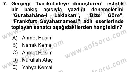 Yeni Türk Edebiyatına Giriş 1 Dersi 2024 - 2025 Yılı (Final) Dönem Sonu Sınav Soruları 7. Soru