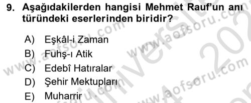 Yeni Türk Edebiyatına Giriş 1 Dersi 2024 - 2025 Yılı (Final) Dönem Sonu Sınav Soruları 9. Soru