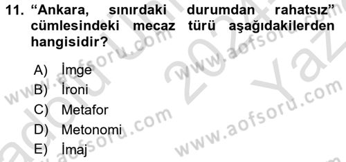 Yeni Türk Edebiyatına Giriş 1 Dersi 2024 - 2025 Yılı Yaz Okulu Sınav Soruları 11. Soru