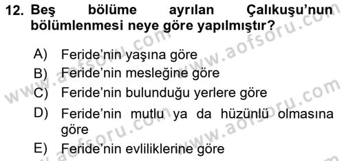 Yeni Türk Edebiyatına Giriş 1 Dersi 2024 - 2025 Yılı Yaz Okulu Sınav Soruları 12. Soru