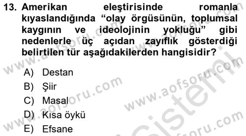 Yeni Türk Edebiyatına Giriş 1 Dersi 2024 - 2025 Yılı Yaz Okulu Sınav Soruları 13. Soru