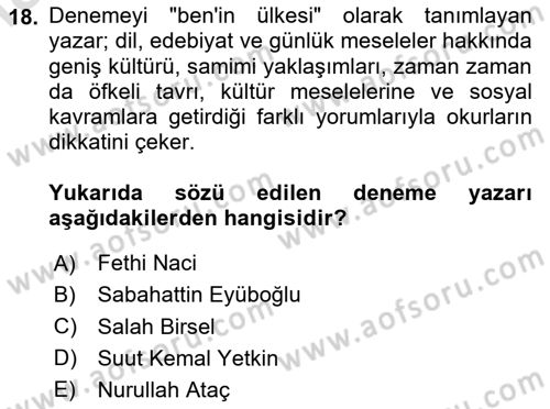Yeni Türk Edebiyatına Giriş 1 Dersi 2024 - 2025 Yılı Yaz Okulu Sınav Soruları 18. Soru