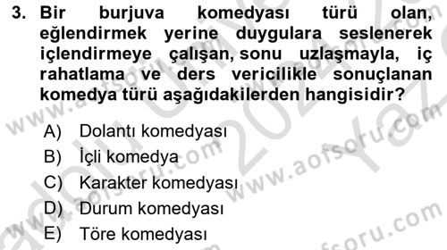 Yeni Türk Edebiyatına Giriş 1 Dersi 2024 - 2025 Yılı Yaz Okulu Sınav Soruları 3. Soru