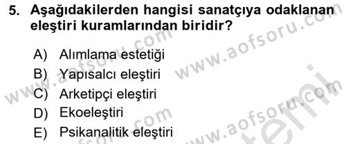 Yeni Türk Edebiyatına Giriş 1 Dersi 2024 - 2025 Yılı Yaz Okulu Sınav Soruları 5. Soru