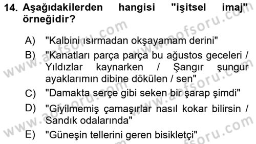 Yeni Türk Edebiyatına Giriş 1 Dersi 2025 - 2026 Yılı (Vize) Ara Sınav Soruları 14. Soru