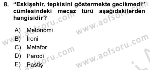 Yeni Türk Edebiyatına Giriş 1 Dersi 2025 - 2026 Yılı (Vize) Ara Sınav Soruları 8. Soru