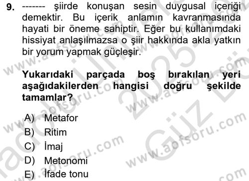 Yeni Türk Edebiyatına Giriş 1 Dersi 2025 - 2026 Yılı (Vize) Ara Sınav Soruları 9. Soru