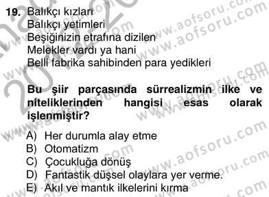 Yeni Türk Edebiyatına Giriş 2 Dersi 2012 - 2013 Yılı (Vize) Ara Sınav Soruları 19. Soru