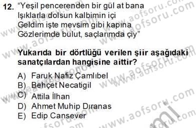 Yeni Türk Edebiyatına Giriş 2 Dersi 2013 - 2014 Yılı (Final) Dönem Sonu Sınav Soruları 12. Soru