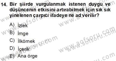 Yeni Türk Edebiyatına Giriş 2 Dersi 2013 - 2014 Yılı (Final) Dönem Sonu Sınav Soruları 14. Soru