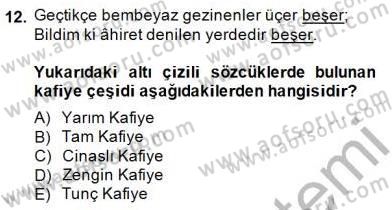 Yeni Türk Edebiyatına Giriş 2 Dersi 2014 - 2015 Yılı (Vize) Ara Sınav Soruları 12. Soru
