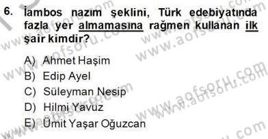 Yeni Türk Edebiyatına Giriş 2 Dersi 2014 - 2015 Yılı (Vize) Ara Sınav Soruları 6. Soru