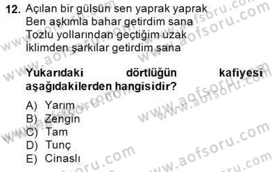 Yeni Türk Edebiyatına Giriş 2 Dersi 2014 - 2015 Yılı (Final) Dönem Sonu Sınav Soruları 12. Soru