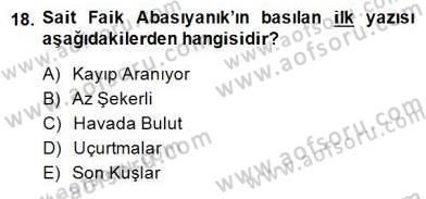 Yeni Türk Edebiyatına Giriş 2 Dersi 2014 - 2015 Yılı (Final) Dönem Sonu Sınav Soruları 18. Soru