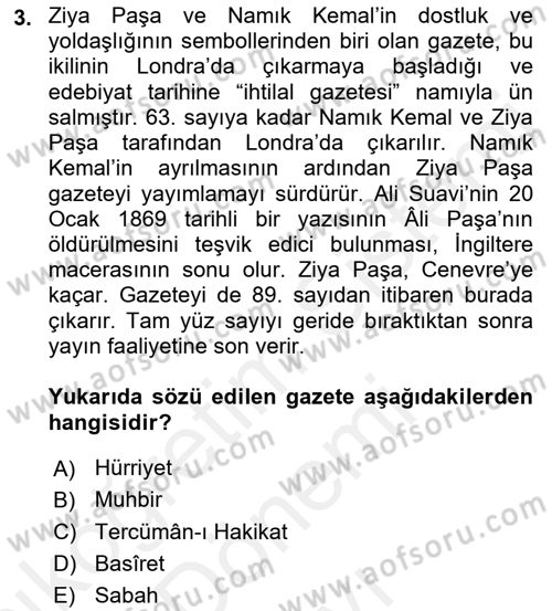 Yeni Türk Edebiyatına Giriş 2 Dersi 2018 - 2019 Yılı (Final) Dönem Sonu Sınav Soruları 3. Soru